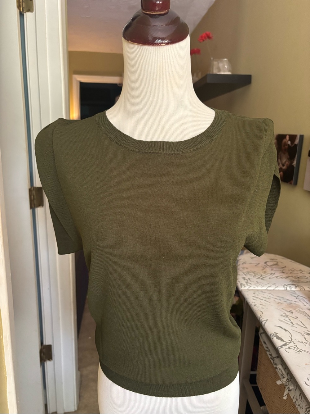 Ann Taylor Olive Crewneck Short Sleeve Knit Top